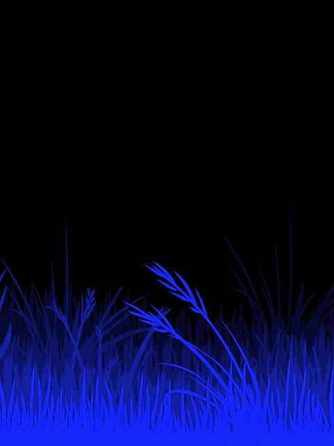 Free download Free Wallpapers Blue Grass Abstract wallpaper 1920x1080 for  your Desktop Mobile  Tablet  Explore 46 Free Bluegrass Music Wallpaper   Free Music Background Images Free Music Wallpaper Images Free Music  Wallpaper
