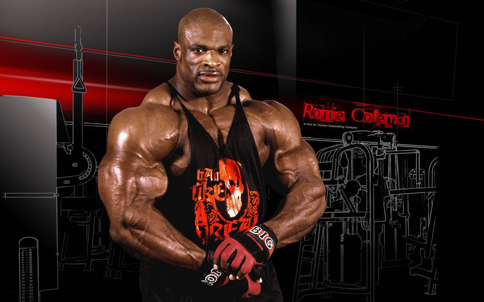 Top Bodybuilders HD Wallpaper Full 4k To Use