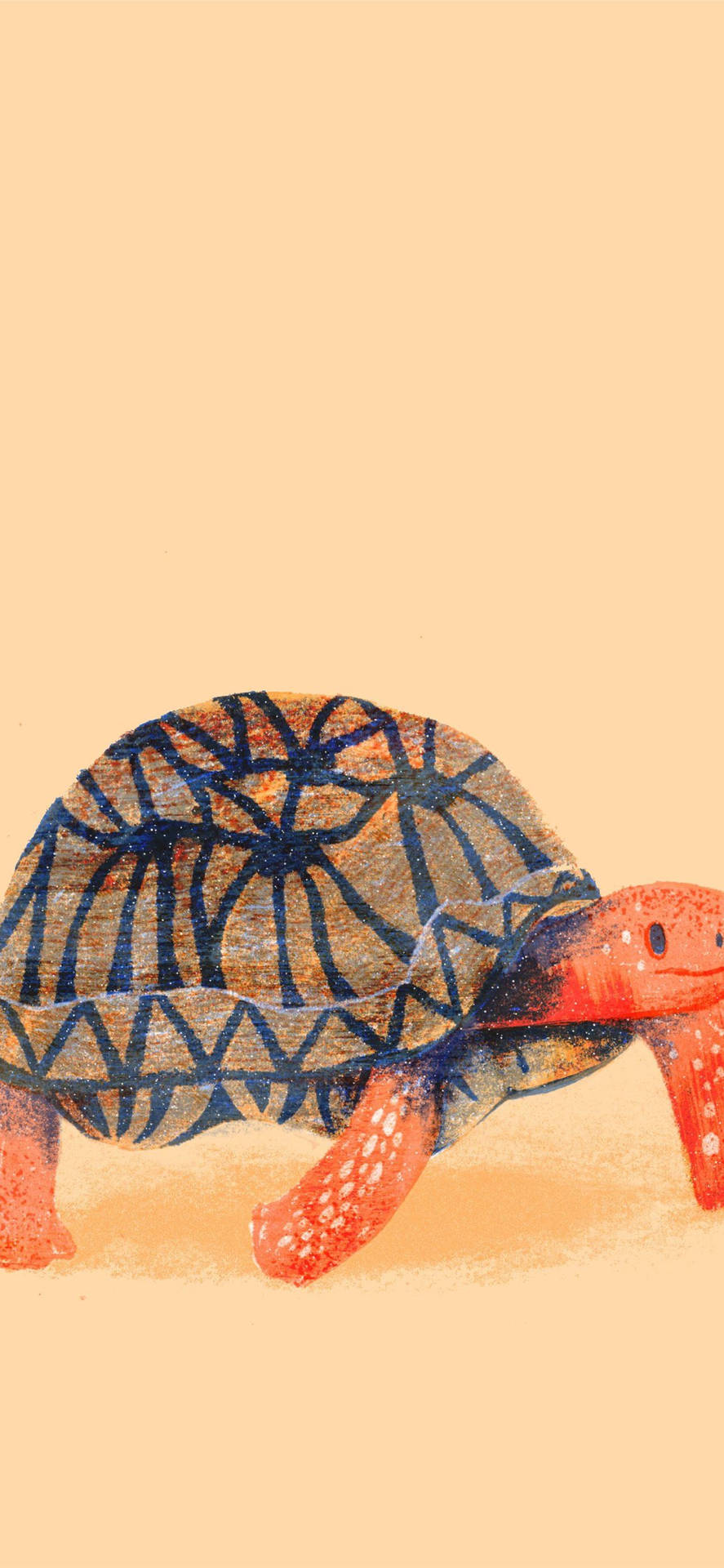 Sea Turtle iPhone Wallpaper