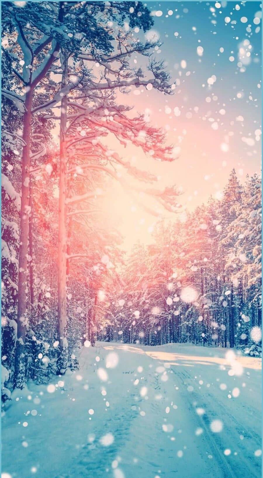 Download Cute Winter Aesthetic X Wallpaper Wallpaper