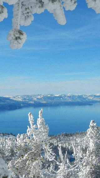 Winter Sky Snow iPhone Wallpaper