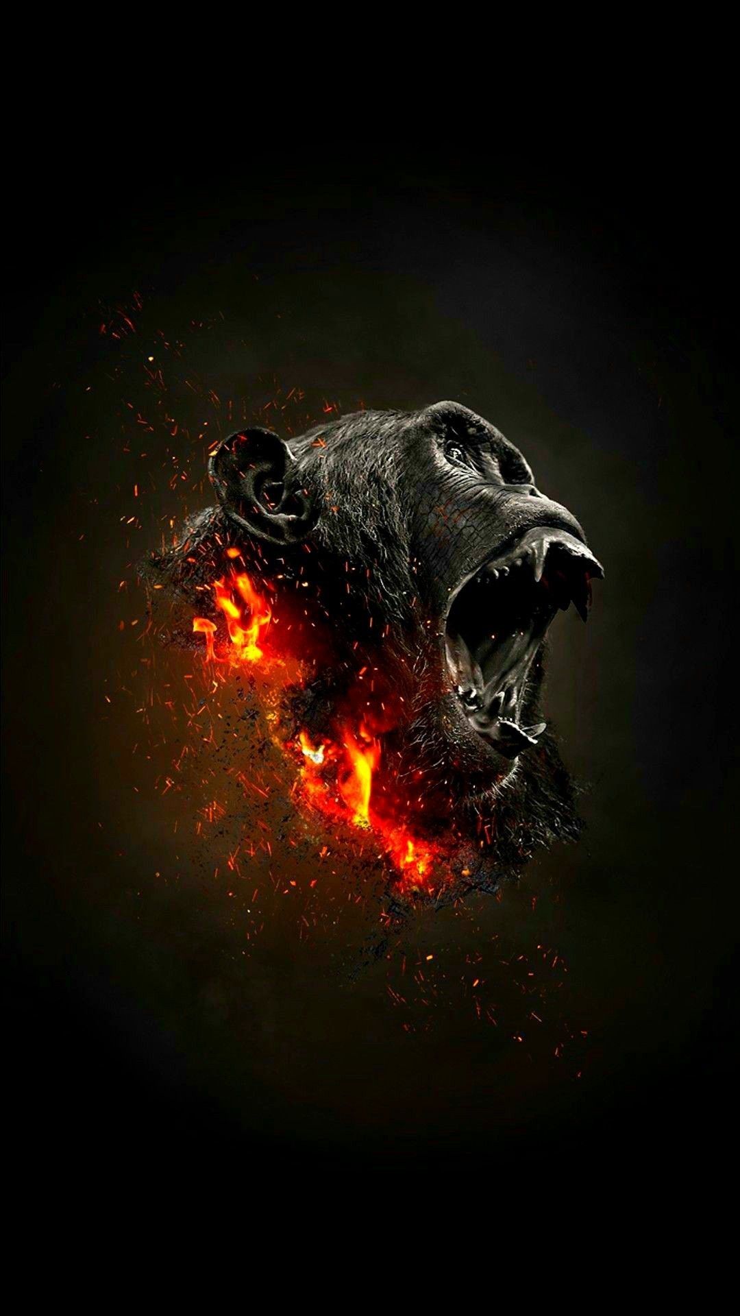 Animals Wallpaper iPhone