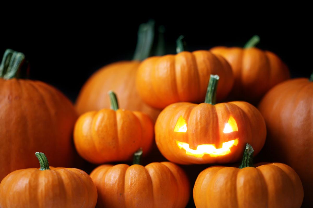 The Best Halloween Events And Festivals In Sarasota