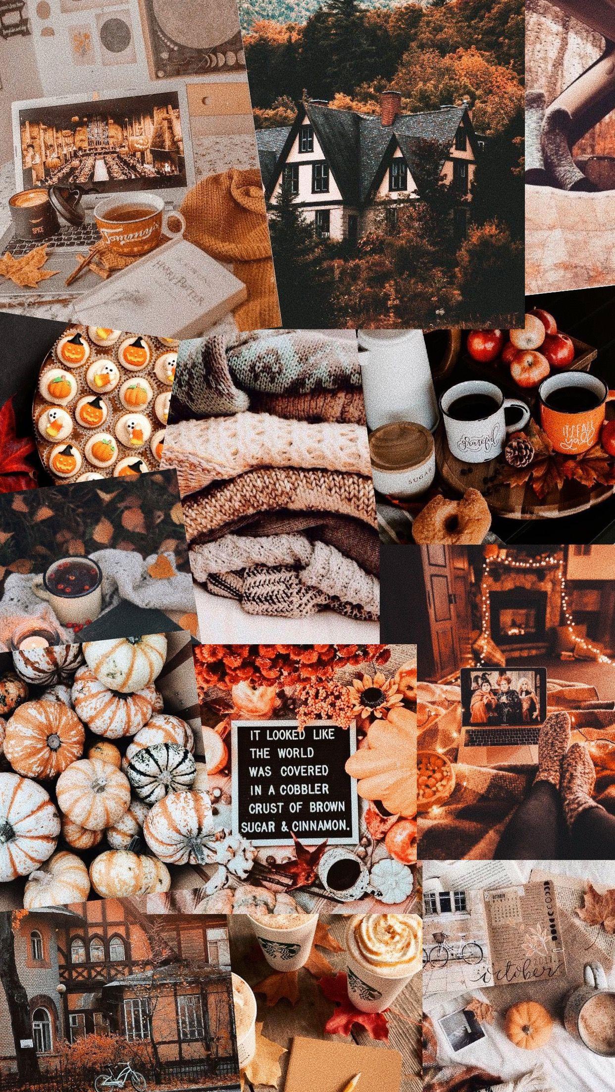 30 Cute Brown Aesthetic Wallpapers for Phone Pretty Autumn