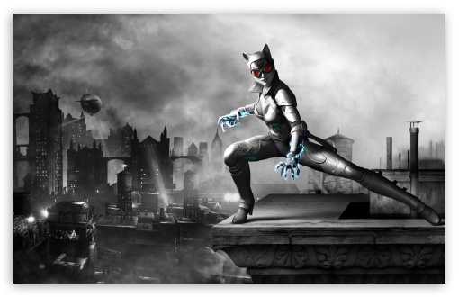 Batman Arkham City Catwoman Night HD Wallpaper For Standard