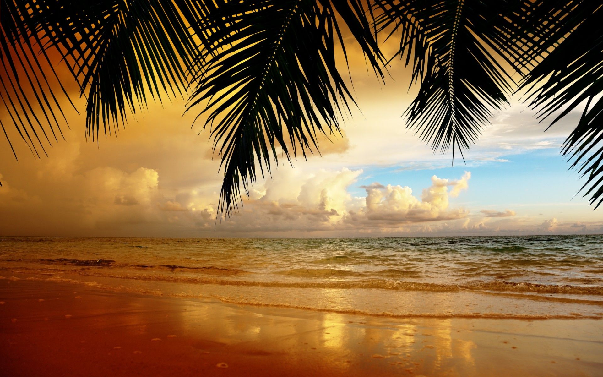 Sunset Aesthetic Wallpaper