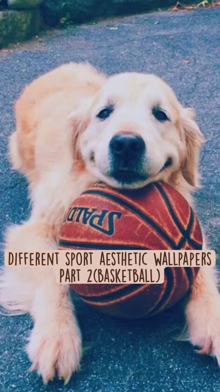 Different Sport Aesthetic Wallpaper Part