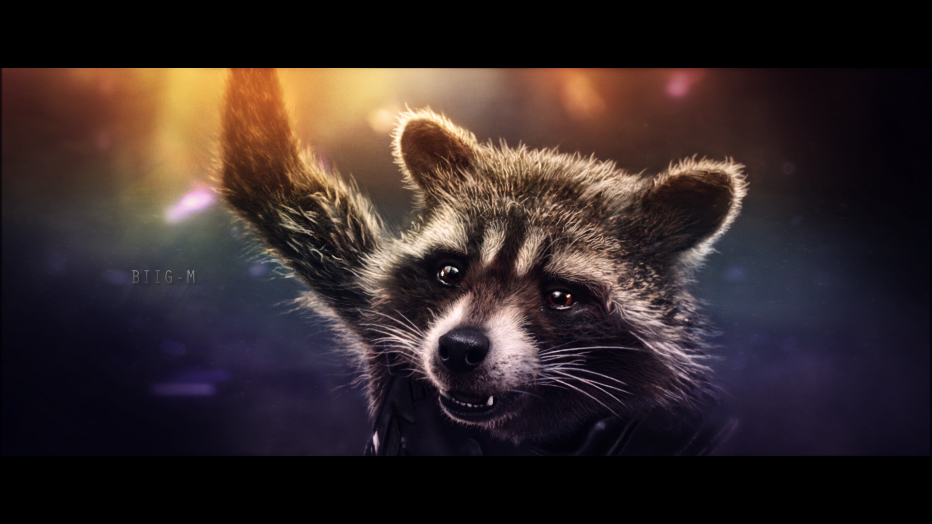 Rocket Raccoon Wallpaper By Biigm