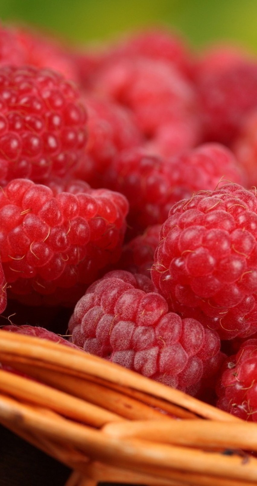 Fresh Raspberries HD Macro Wallpaper