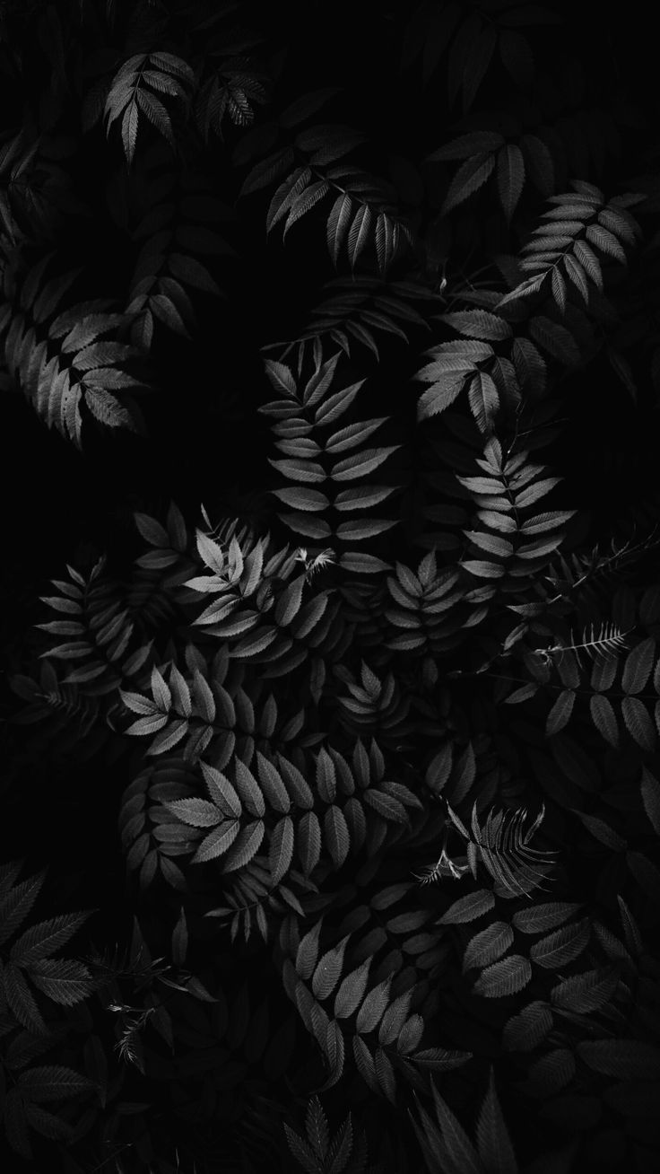 Share 62+ dark iphone wallpapers 4k latest - in.cdgdbentre