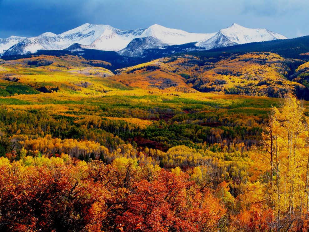 Autumn Landscape Colorado