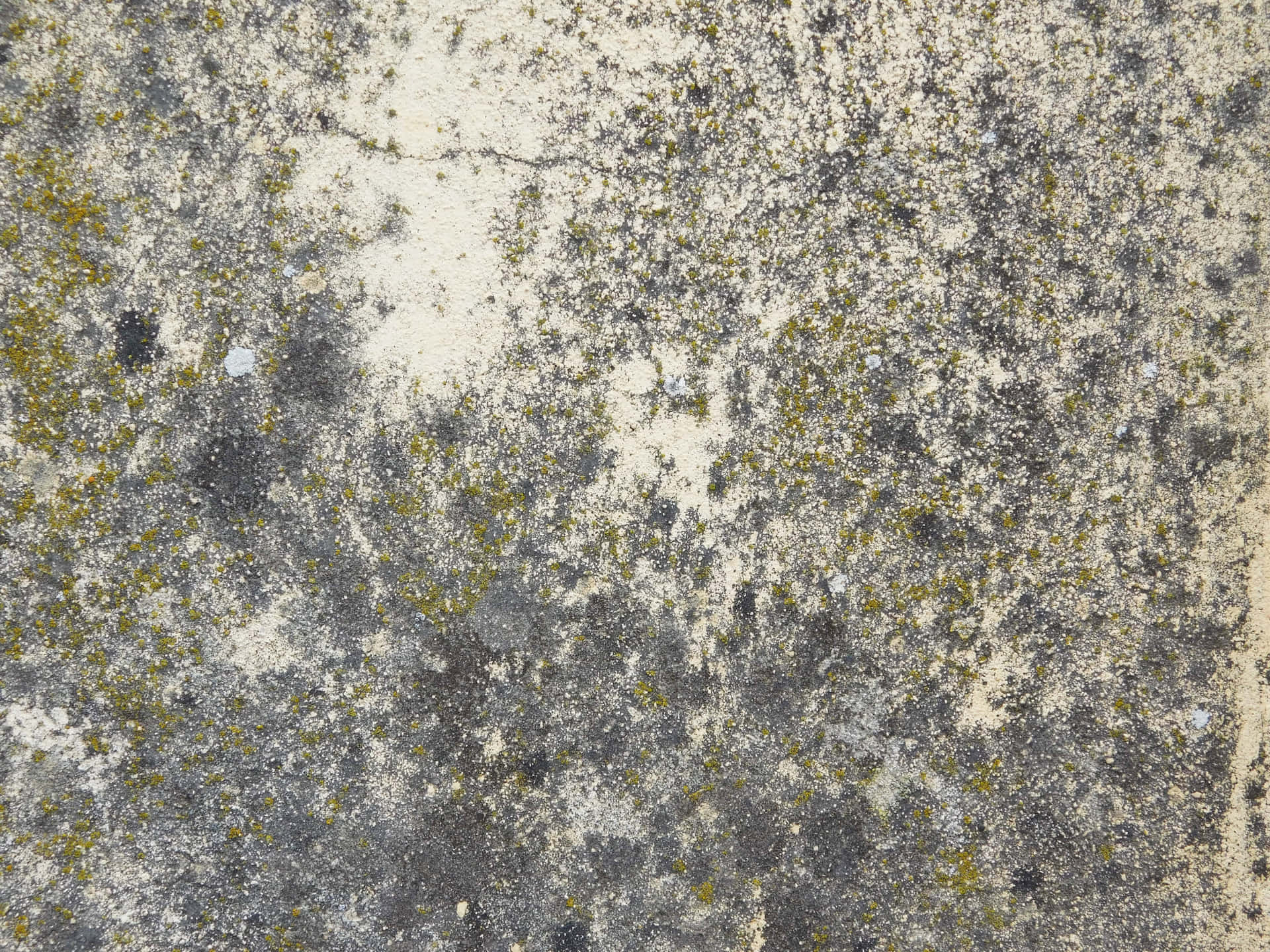 Stone Texture 5qotkvucxlbkn8t8 Wallpaper