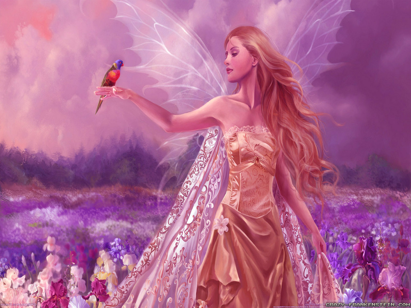 Beautiful Angel Image And Bird Animal HD Wallpaper