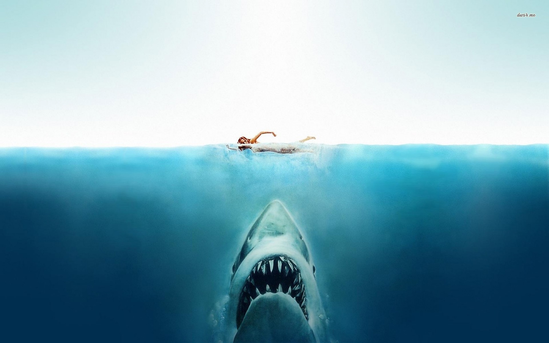 Jaws Movie Wallpaper