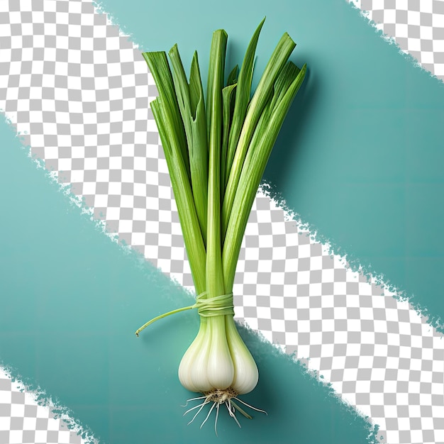 Premium Psd Wallpaper