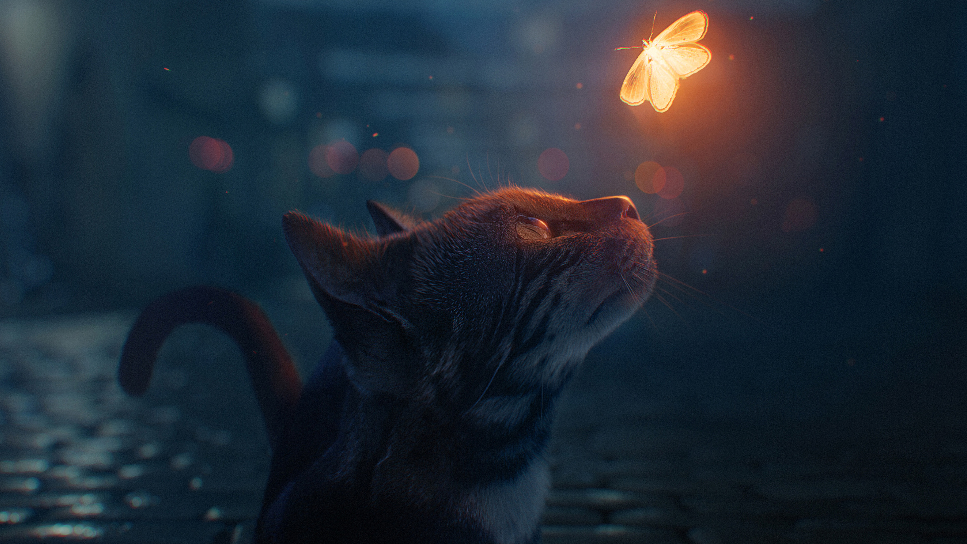 The Cat And Firefly 4k Wallpaper