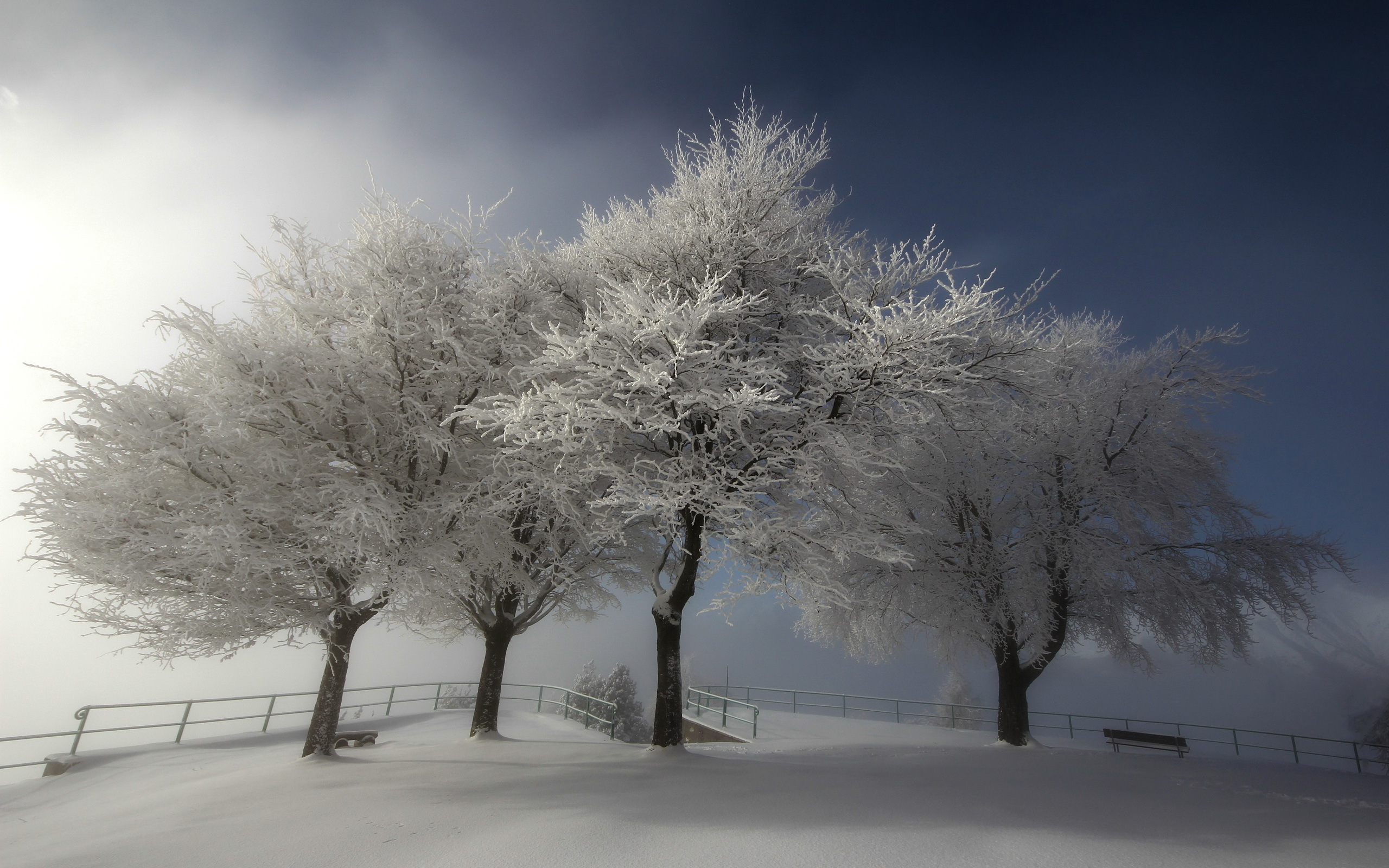 Nice Photo Of Winter Desktop Wallpaper Trees Snow