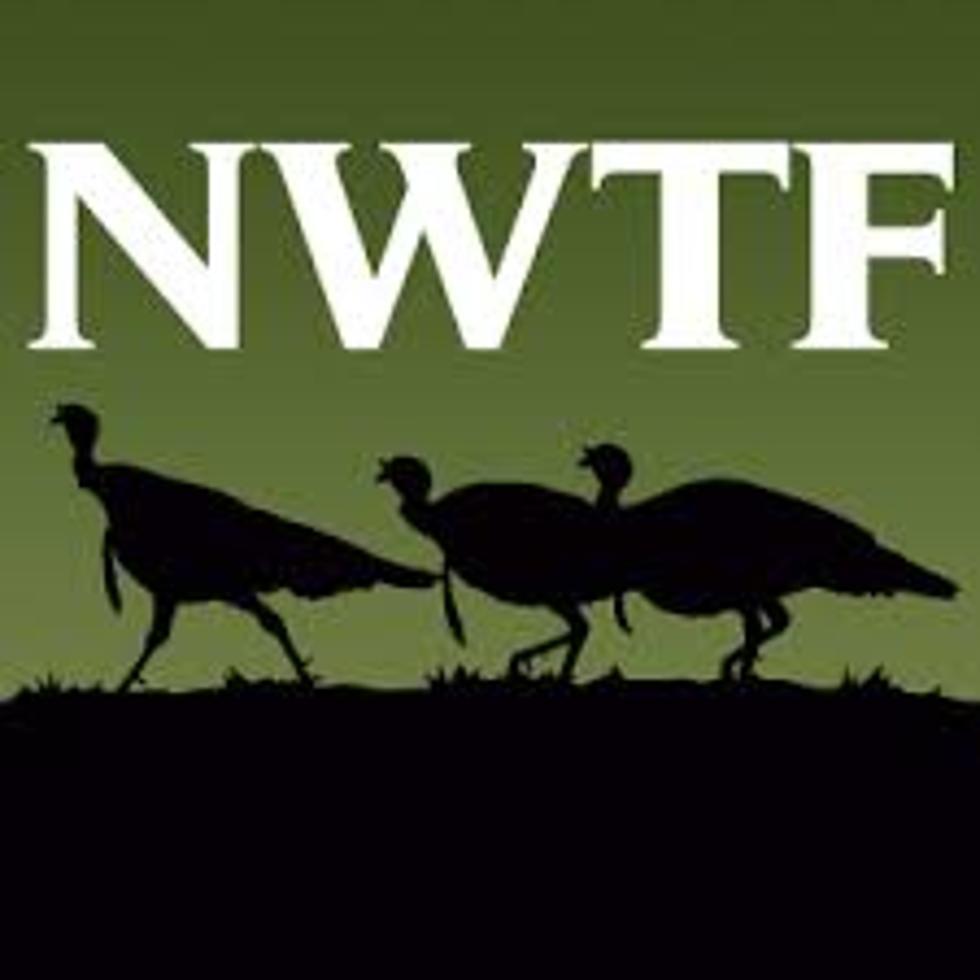 Nwtf Wallpaper Top Background