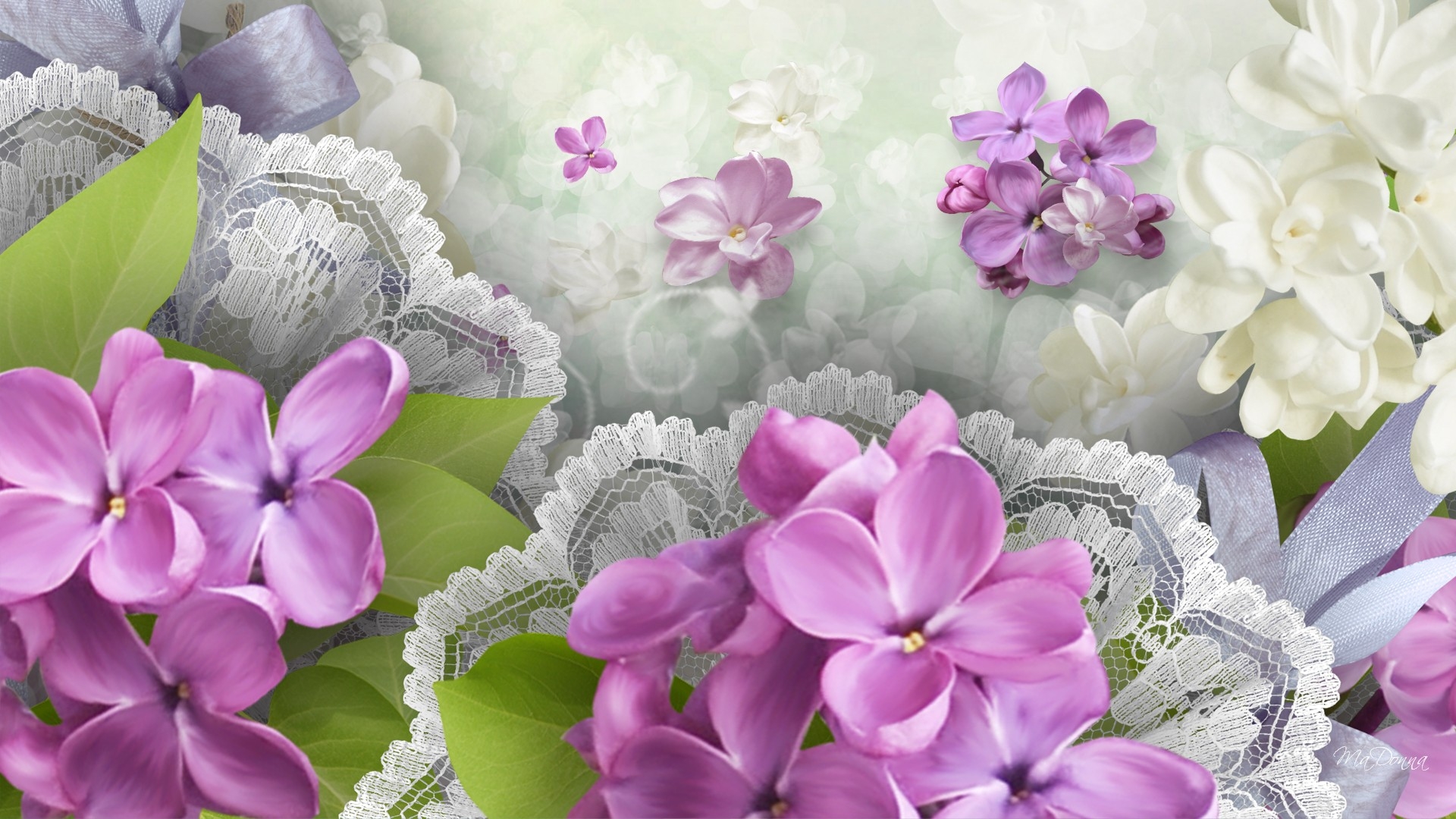 Purple With White Flowers HD Wallpaper Teahub Io