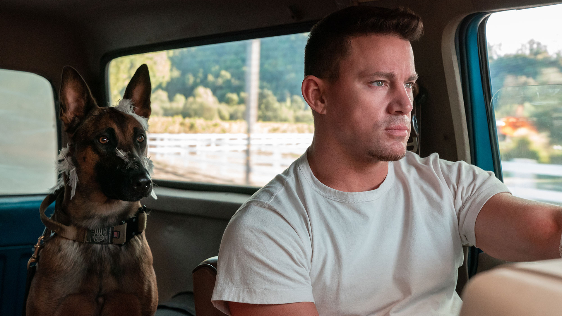 Ign On Dog Starring Channing Tatum Is Jaw Droppingly