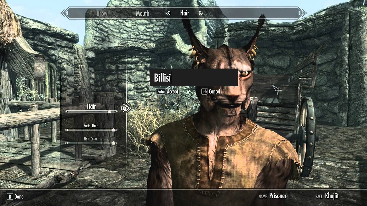 Let S Play Skyrim Part New Character And Mods