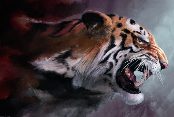Wallpaper Wild Cat Big Tiger Fangs Maw Art Paint Desktop