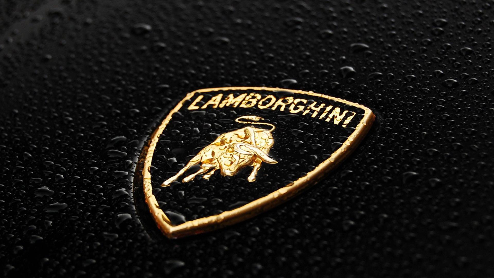 Lamborghini Car Pany Logo HD Wallpaper Of