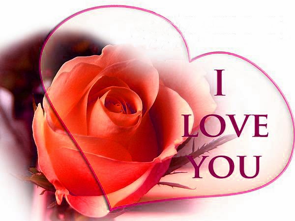 Love U With Red Rose Wallpaper