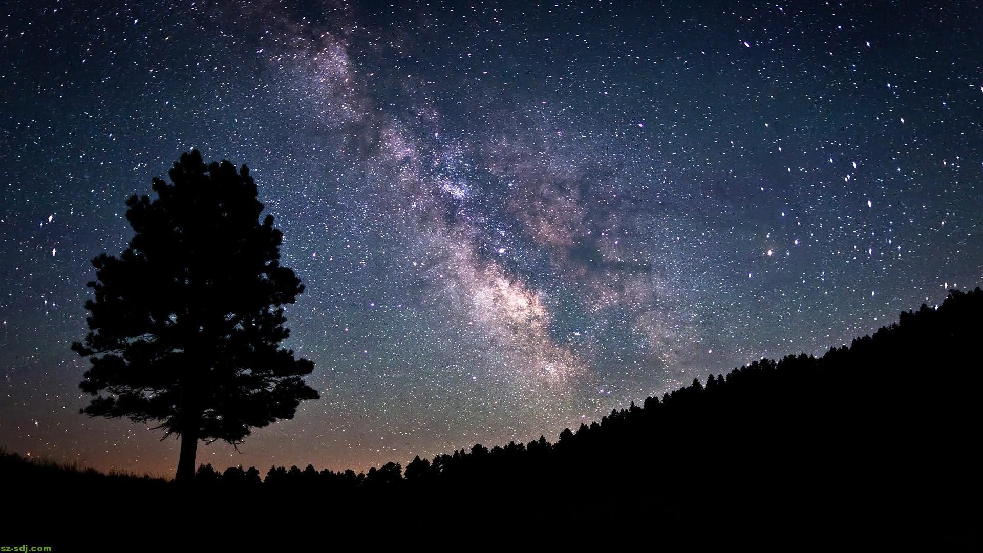 Chinh phục bầu trời đêm với những bức ảnh tuyệt đẹp. Tận dụng sự tĩnh lặng của đêm để thư giãn và đắm mình trong không gian xanh.