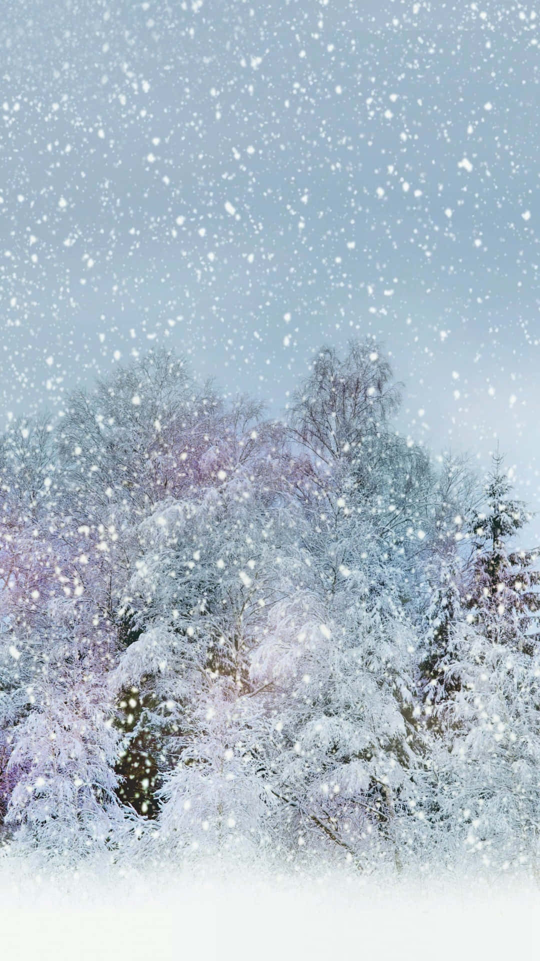 Snow Falling Wallpaper