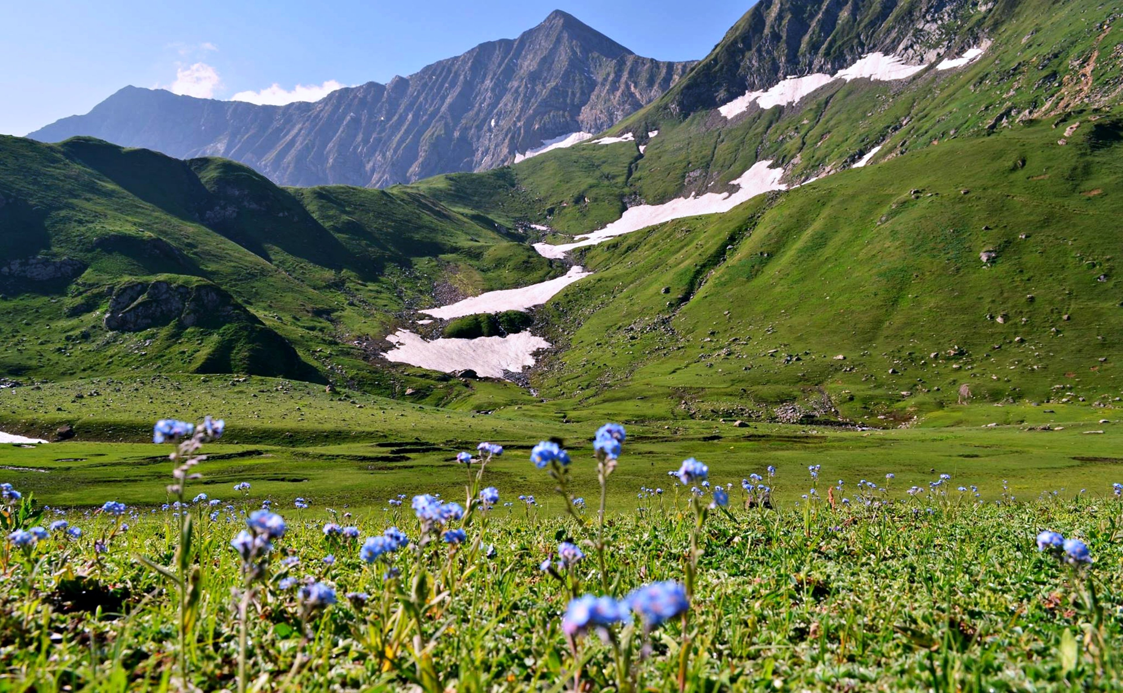 Ratti Galli Landscape Nature Mountains Spring Green Grass Flowers