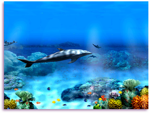 Living 3d Dolphins Screensaver Animated Dolphin