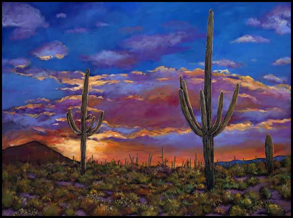southern arizona evening saguaro landscape from the sonoran desert of 576x429