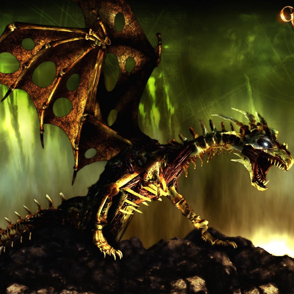 Dragon In Guild Wars HD Wallpaper