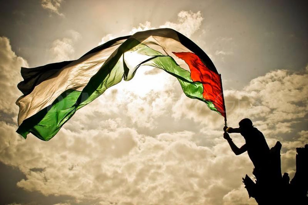 My Life Like Flag Of Palestinian Territories