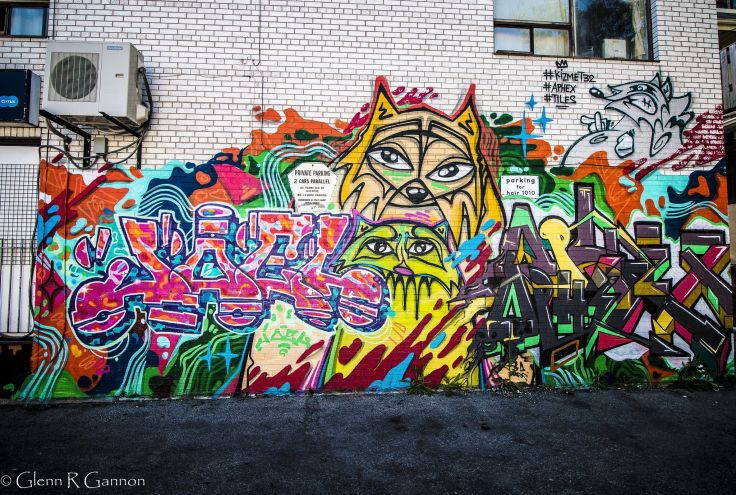 Graff Graffiti Illegal Toronto Canada Street Wall Wallpaper Background