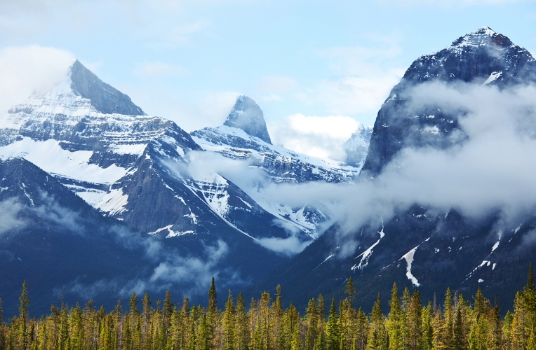 Canadian Mountains Mural