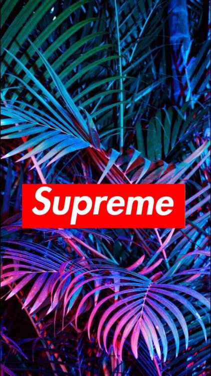 96 Supreme Iphone Wallpaper On Wallpapersafari