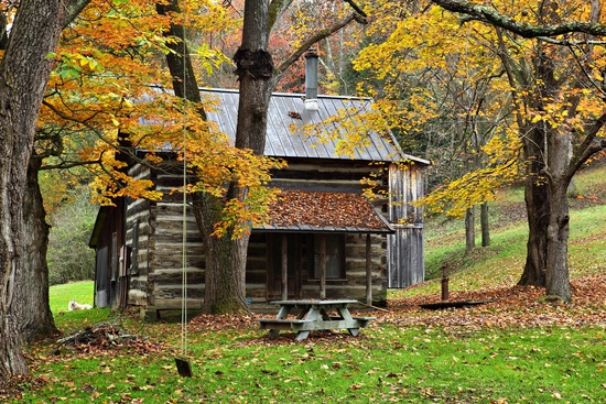 An authentic country cabin in the woods during the fall foliage season