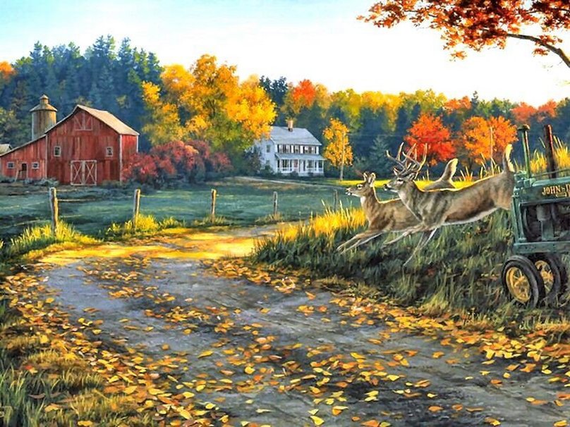Farm And Fall Colors Wallpaper