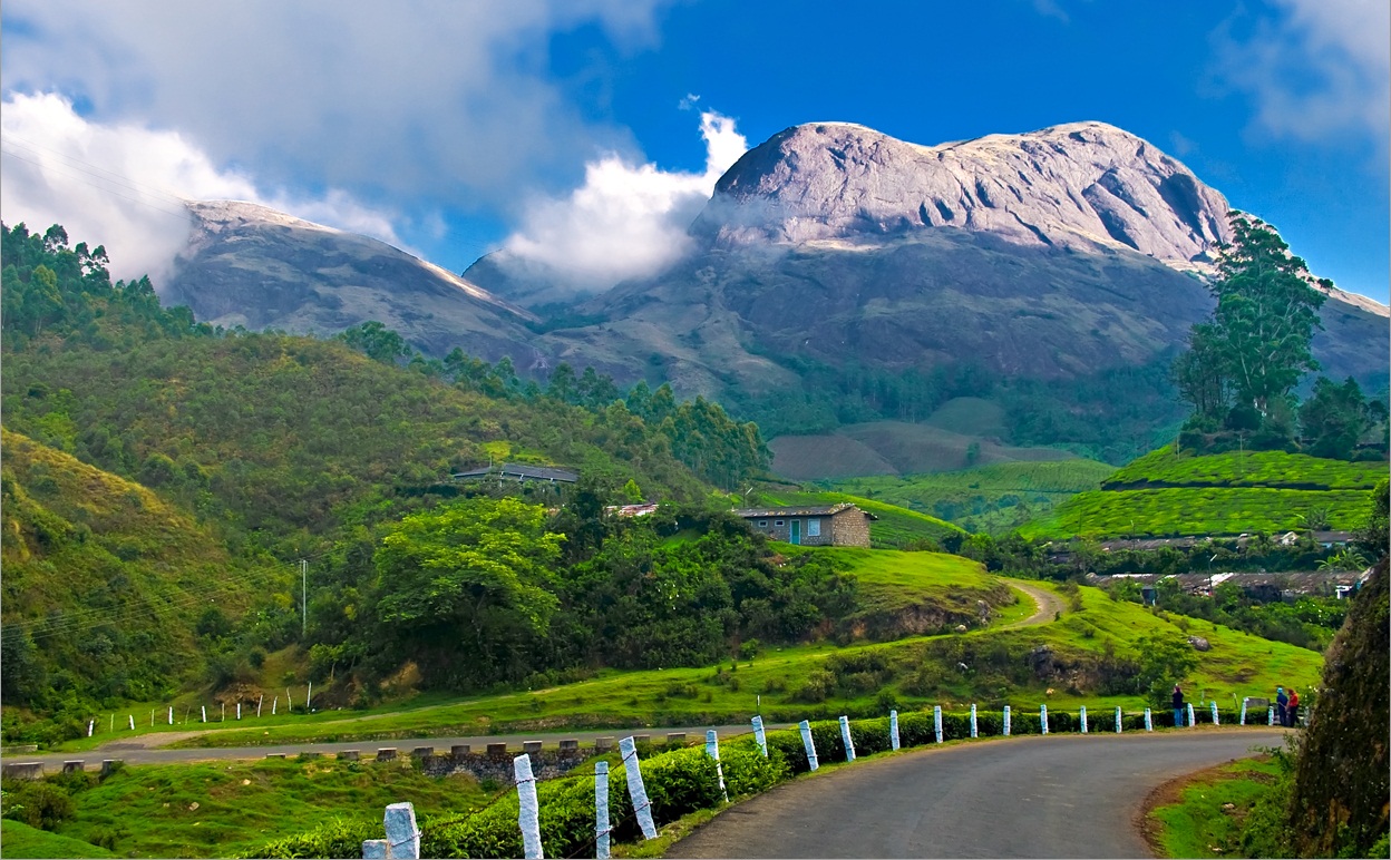 Devikulam Hills In Munnar Kerala India Full Desktop Background