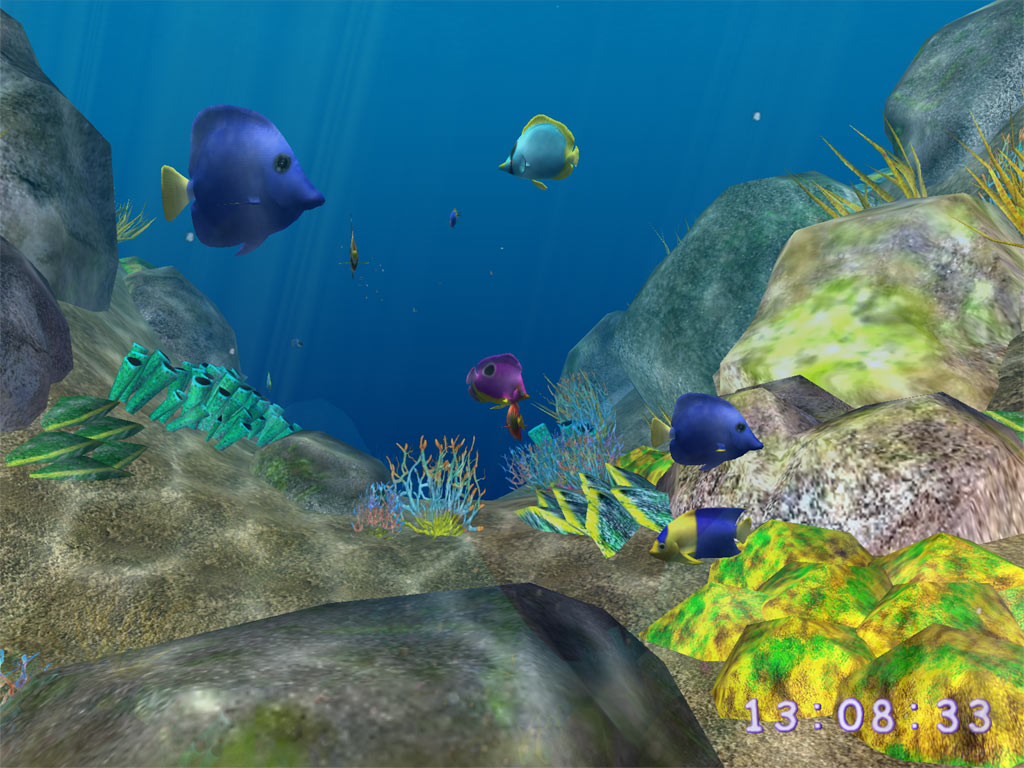 3d Aquarium Screensaver Aqua