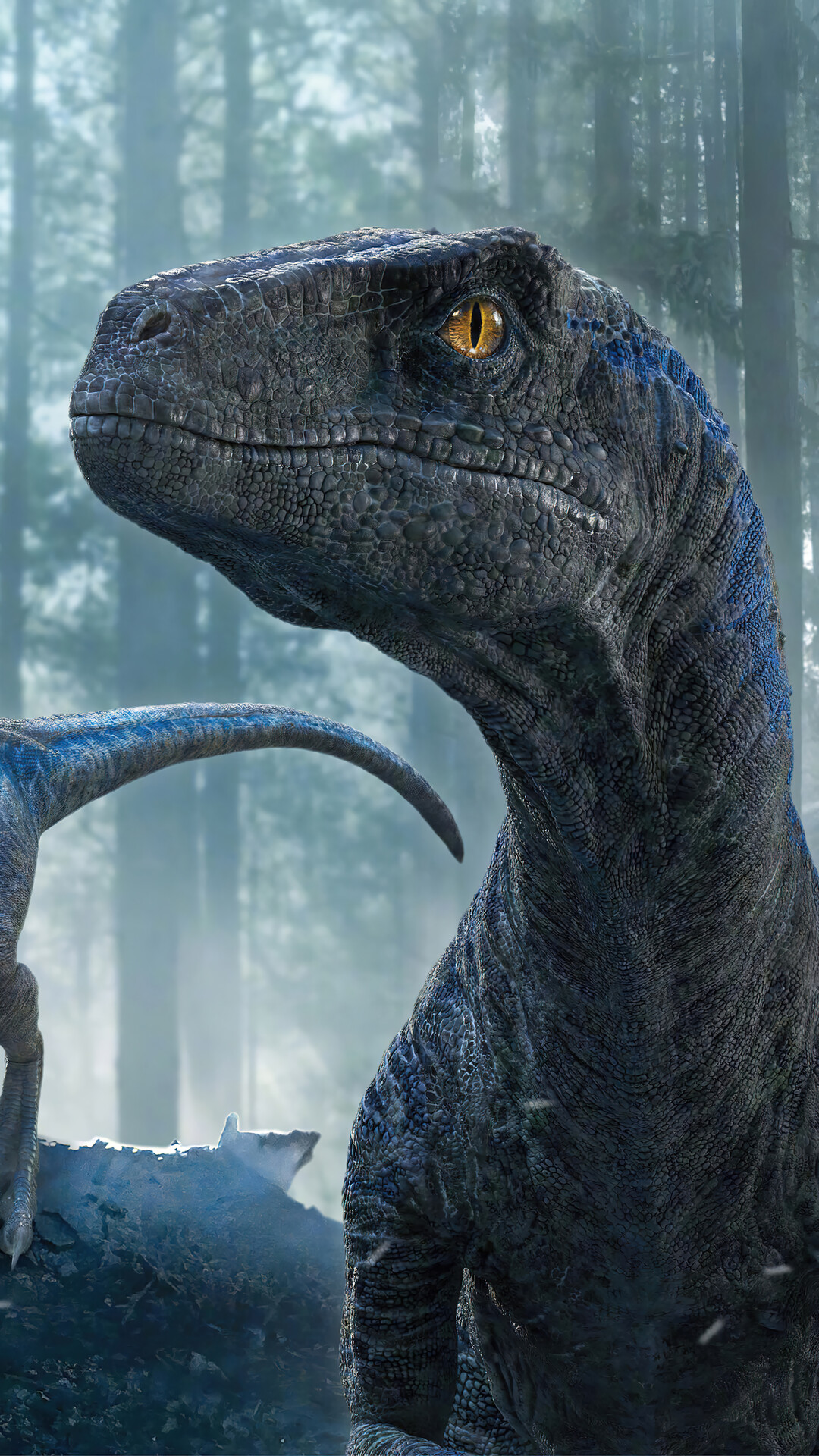 Velociraptor Jurassic World Dominion iPhone Phone HD Wallpaper 6311g