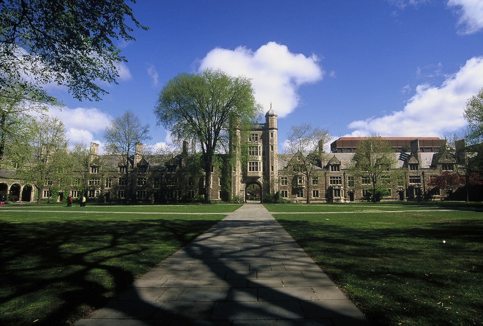 Free Download Wallpapers And Pictures University Of Michigan Wallpaper 