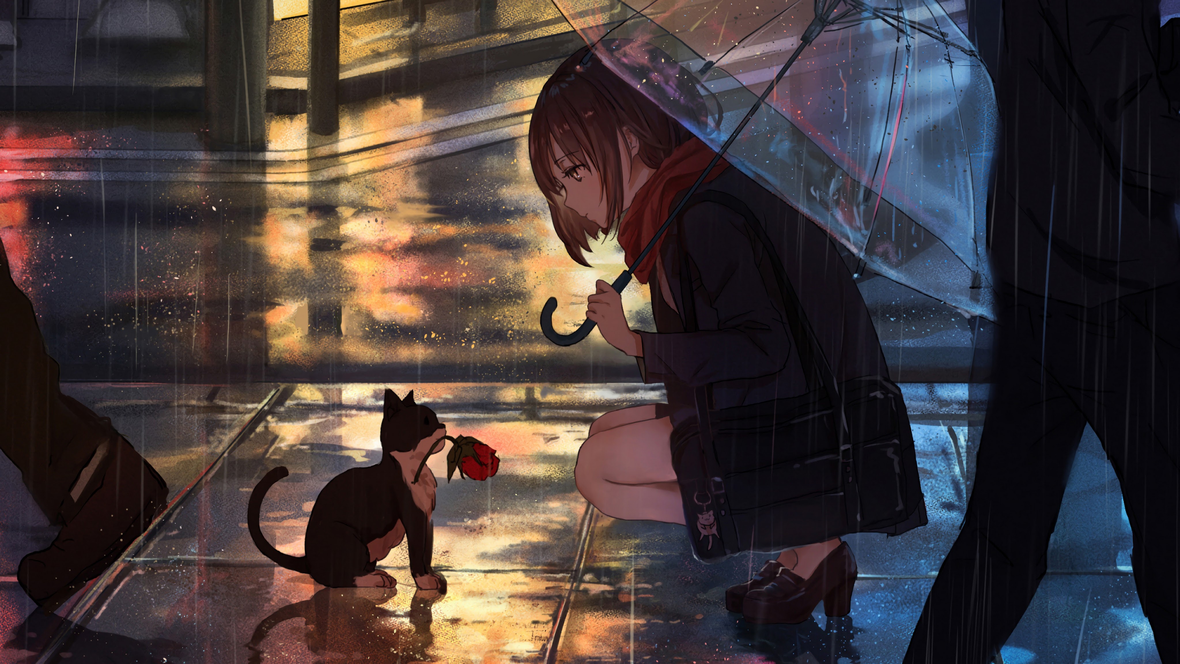 Anime Girl Raining Cat 4k Wallpaper