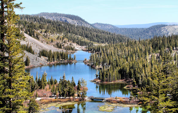 Mammoth Lakes California Mountains Lake Forest Wallpaper Photos