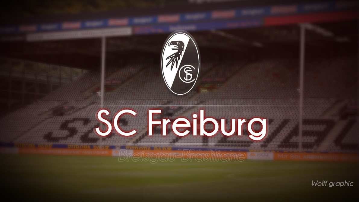 List Of Synonyms And Antonyms The Word Sc Freiburg