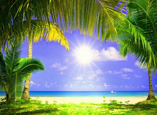 Tropical Paradise Wallpaper To Your Cell Phone Beach Sun