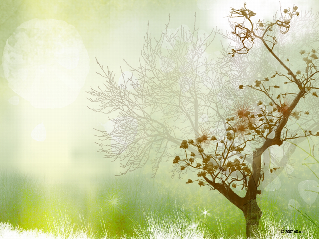Free download Natural Background Images Full HD 1080p Best HD ...