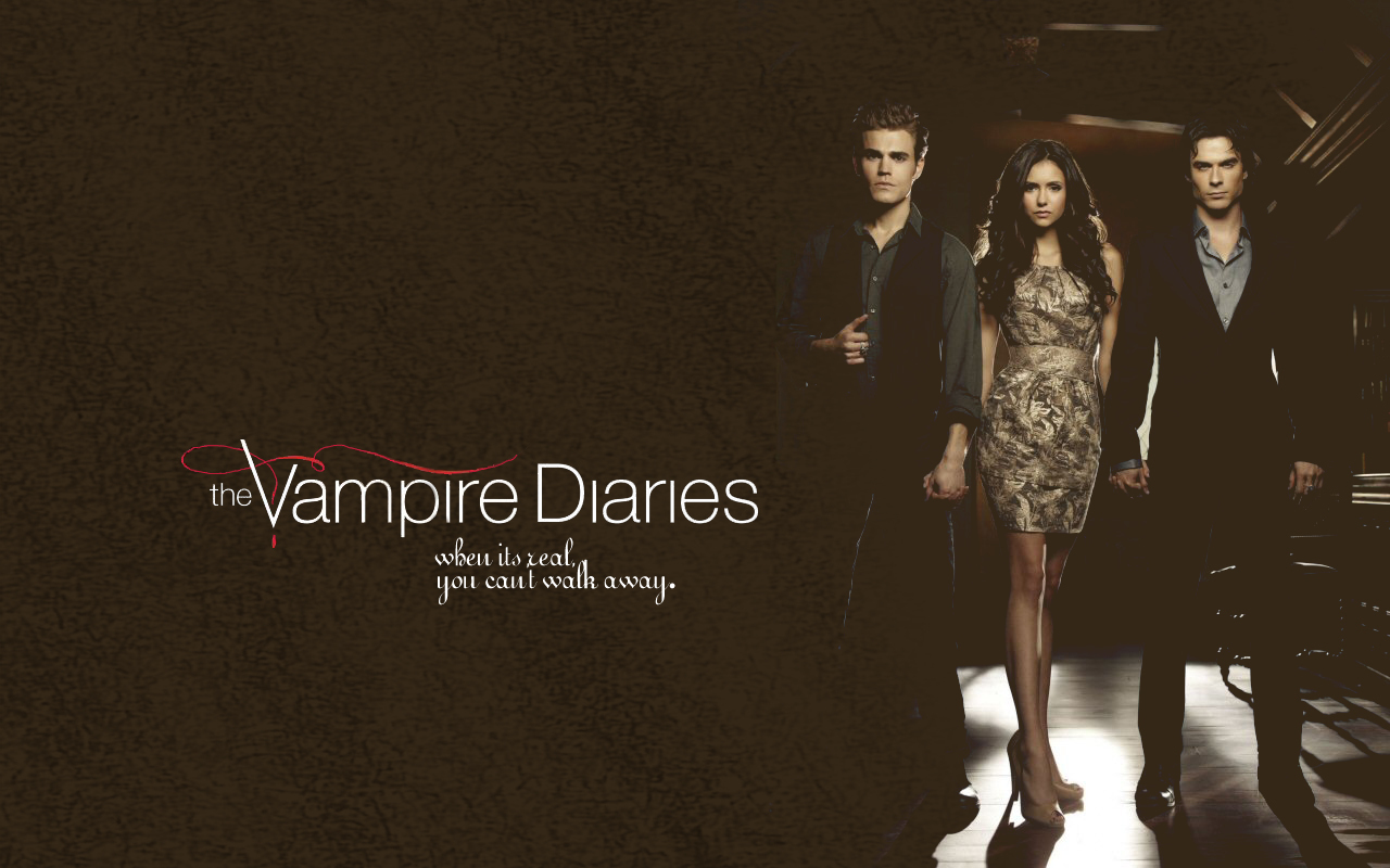 78 Vampire Diaries Wallpaper Damon And Elena  WallpaperSafari